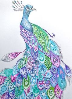 236x323 Simple Colorful Peacock Drawing