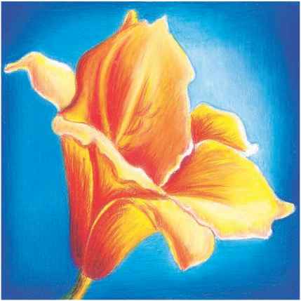 429x429 Shades And Tints