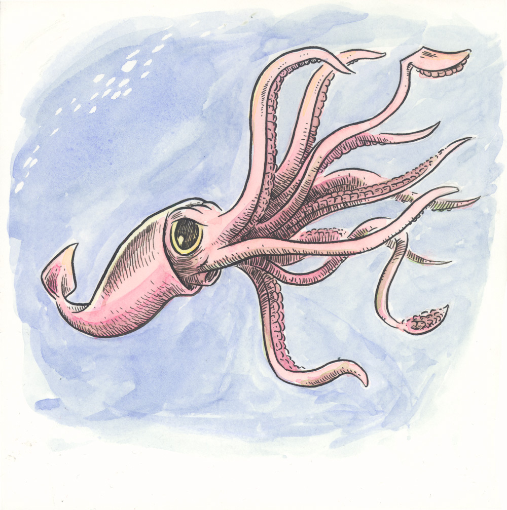 1000x1007 Pin By Nicole Roland On Giant Squid, Octopus, Ship