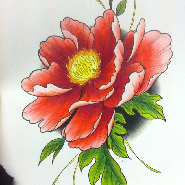 Colour Drawing Pictures Of Flowers at GetDrawings | Free download