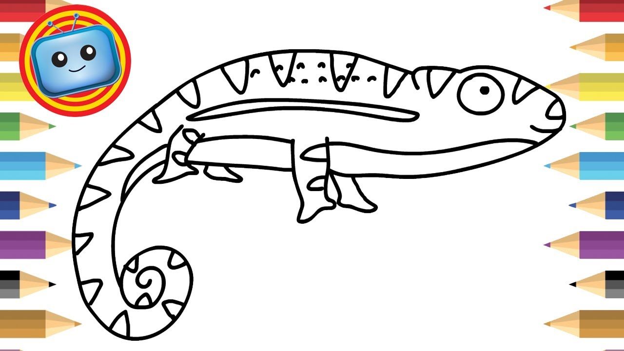 1280x720 How To Draw A Chameleon Colouring Book Simple Drawing Game