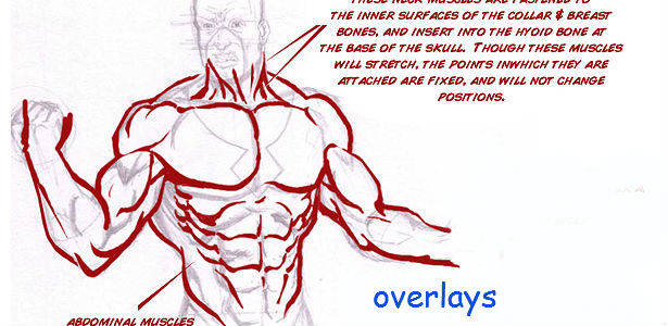 615x300 How To Draw Comics