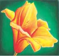 205x196 Shades And Tints