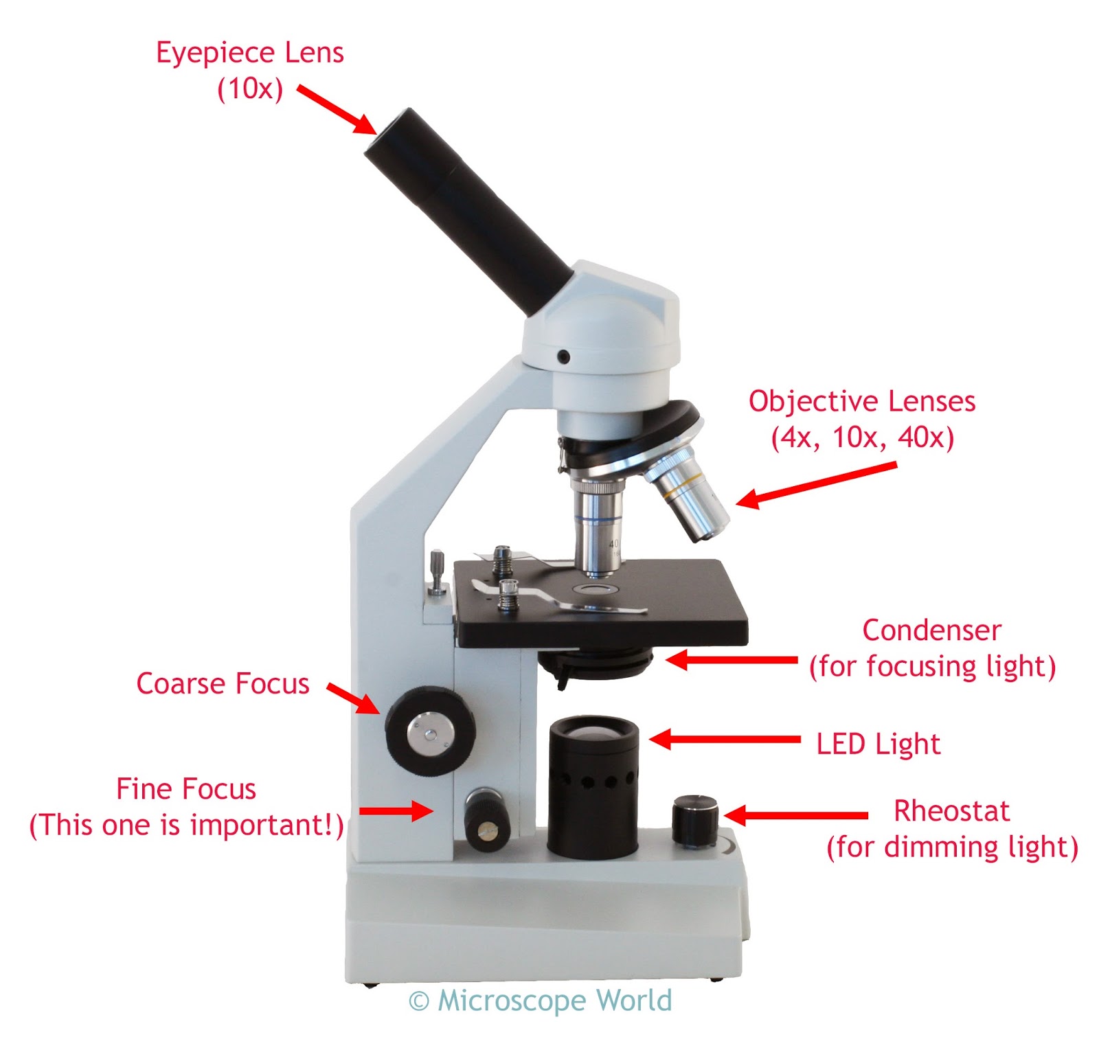[DIAGRAM] Leica Compound Microscope Diagram - MYDIAGRAM.ONLINE