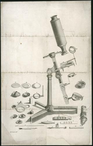 320x498 Microscopes Science Museum Group Collection