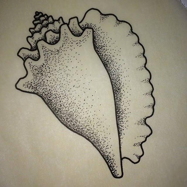 640x640 Conch Shell Tattoo And Pointillismgtgt In Blue And Behind My Ear