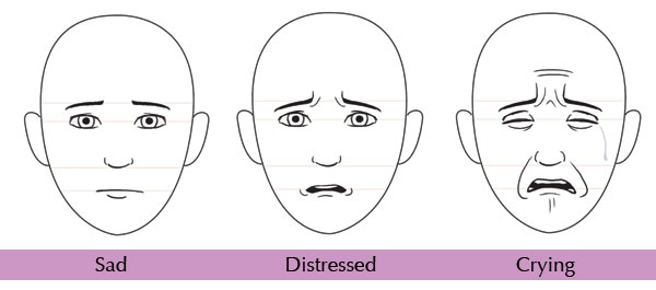 600x265 Human Anatomy Fundamentals Mastering Facial Expressions
