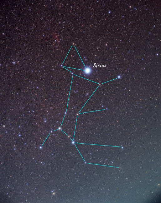 514x650 Star Outline For Canis Major Constellation Drawing And Inktober