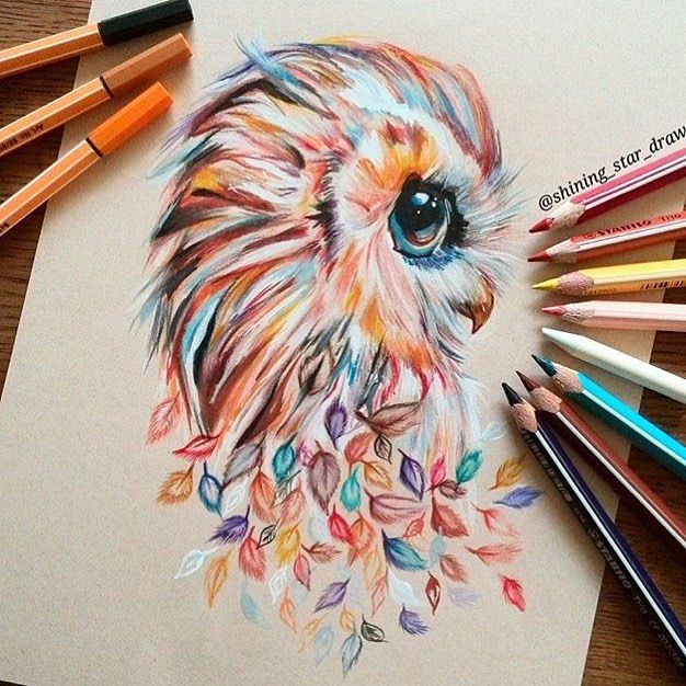 626x626 Super Cute Colourful Owl By @shining Star Draws Follow