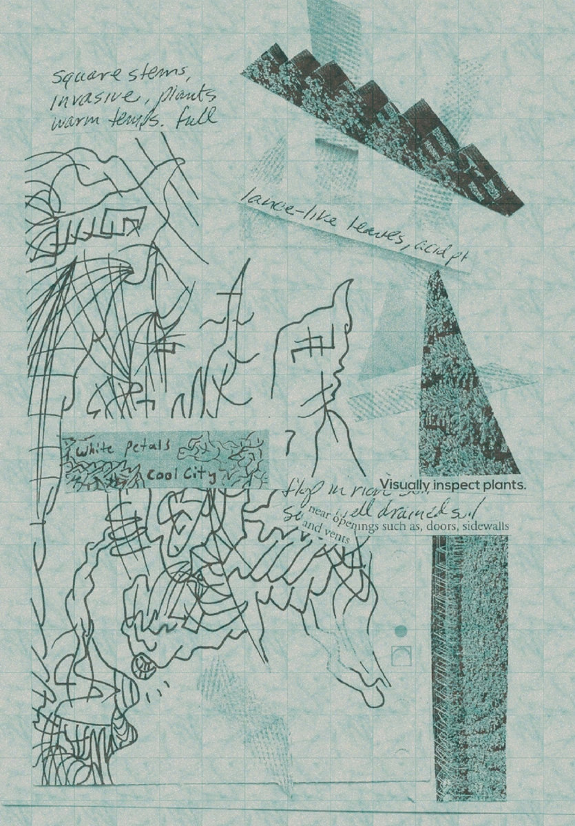 835x1200 Cool City You'Re My Favorite Deep Sea Records