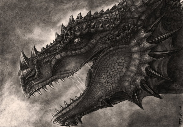 600x418 Cool Dragon Drawings For Inspiration