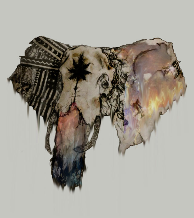 640x720 Trippy Elephant, Art, Colorful, Abstract, Hand Drawing, Skull