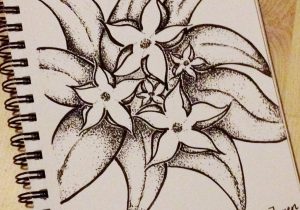 300x210 Unique Flower Drawings Cool Flower Drawings Follow You Back We