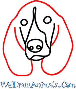 300x350 How To Draw A Hound Dog