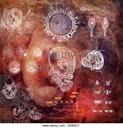 520x540 Copyright Free Drawing Stock Photos Amp Copyright Free Drawing Stock