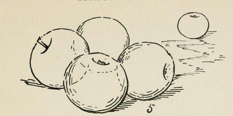 469x233 Drawing Exercises From The Copyright Free Ebook, Augsburg'S