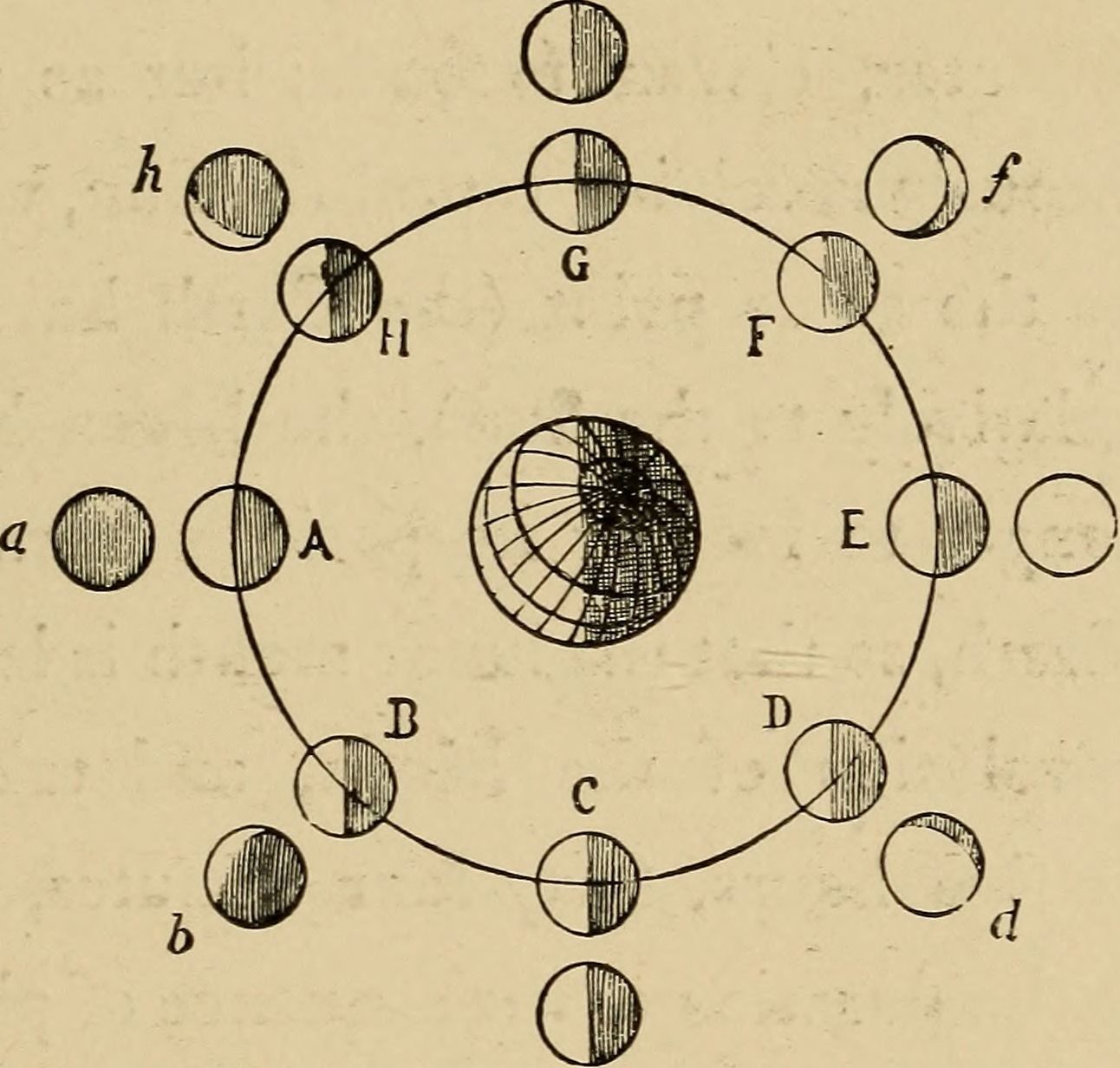 1292x1232 Moon Phases 1904