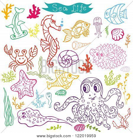 450x470 Sea Life Animals Set.fsh, Octopus Vector Amp Photo Bigstock