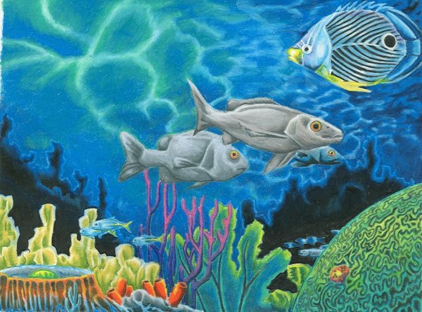 600x445 Coral Reef By Jmsnooks