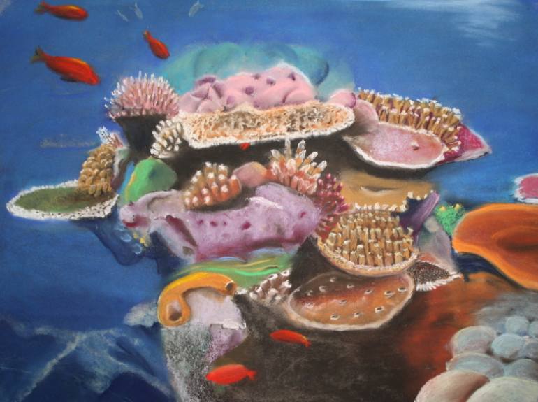 770x575 Saatchi Art Coral Reef Drawing By Petra Nijman