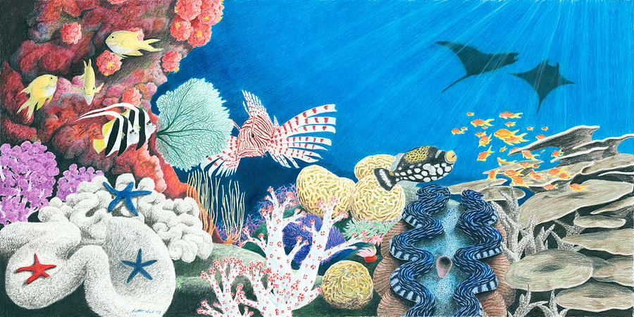 900x450 Underwater Rainbow Drawing By Heather Ward