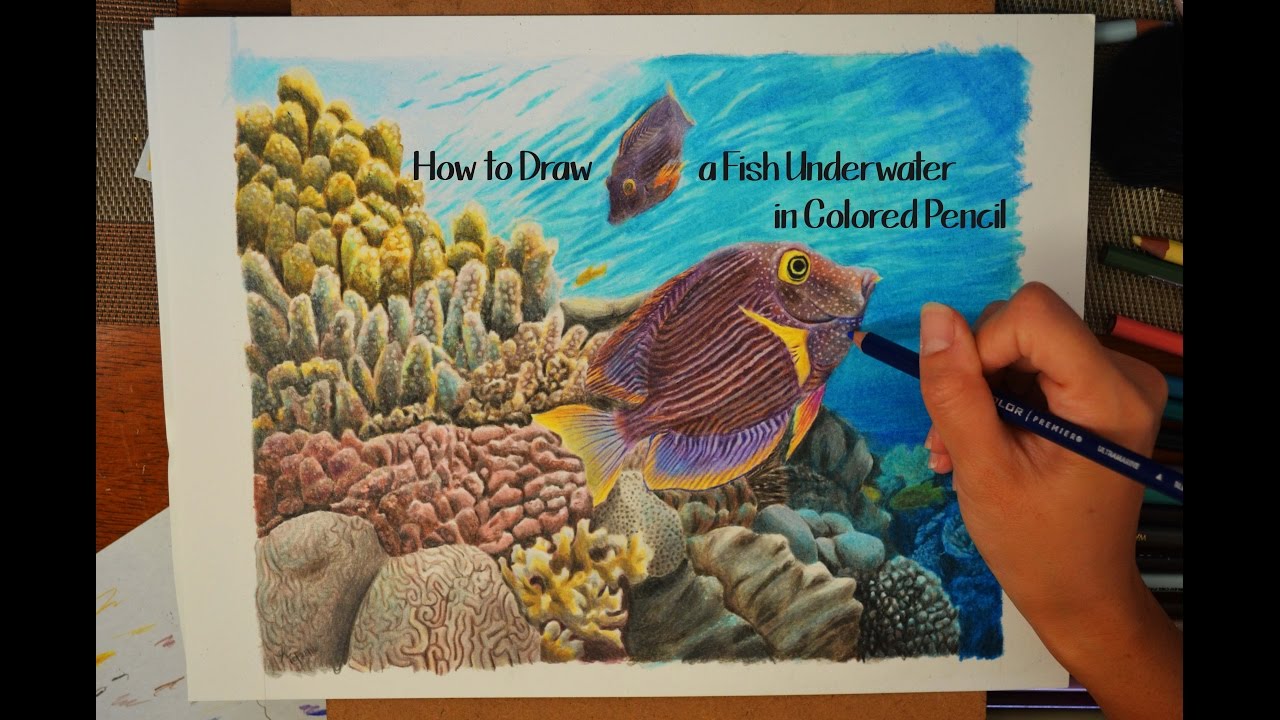 1280x720 How To Draw A Realistic Fish Underwater In Colored Pencil