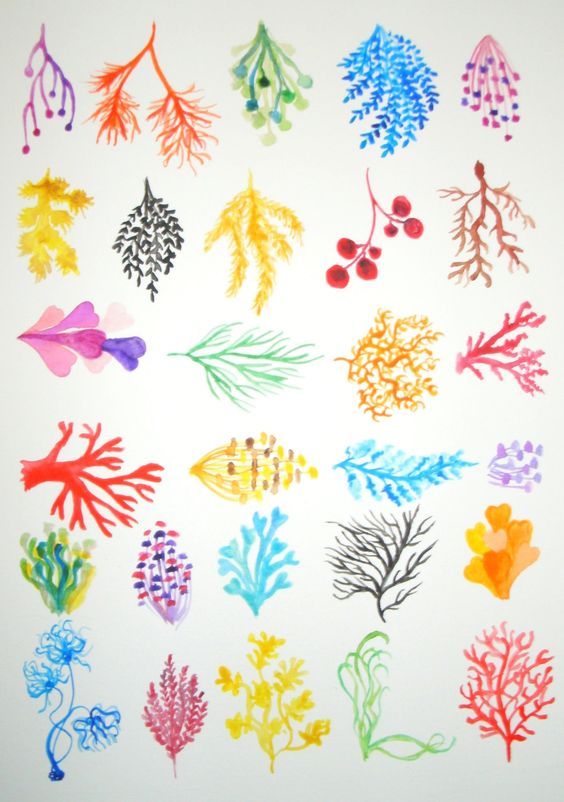 564x802 Reef Collection. Coral Reef. Original Watercolor (No Print