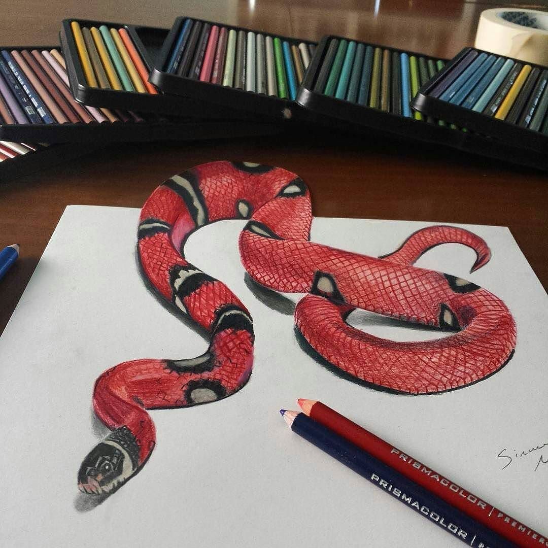 1080x1080 Repost From @slim Draw Ciao! Coral Snake 3d Drawing Share If You