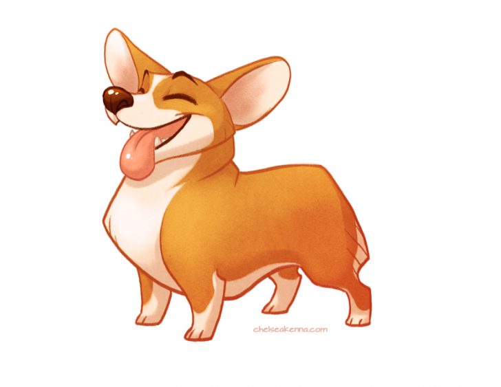 728x563 Corgi Drawings