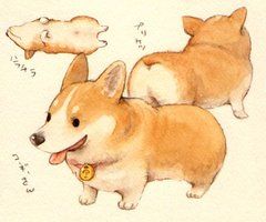 240x200 Short Corgi Illustration Illustrations Corgi