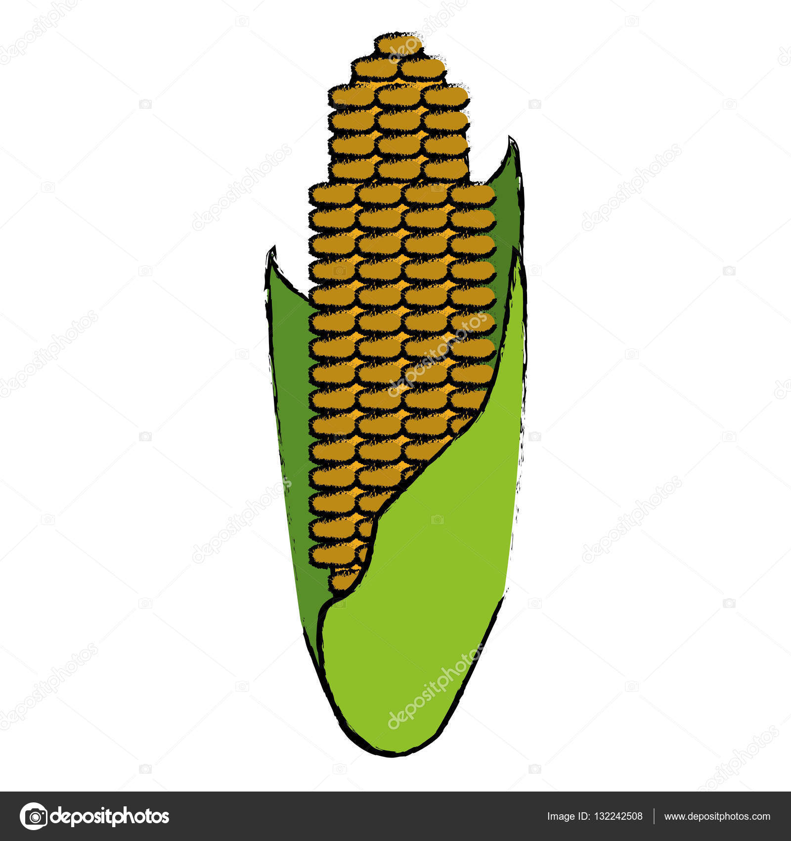1600x1700 Drawing Corn Cob Ripe Leaves Icon Stock Vector Jemastock