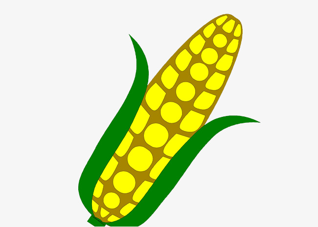 650x464 Hand Drawing Cartoon Corn, Corn, Cartoon Corn, Draw Png Image