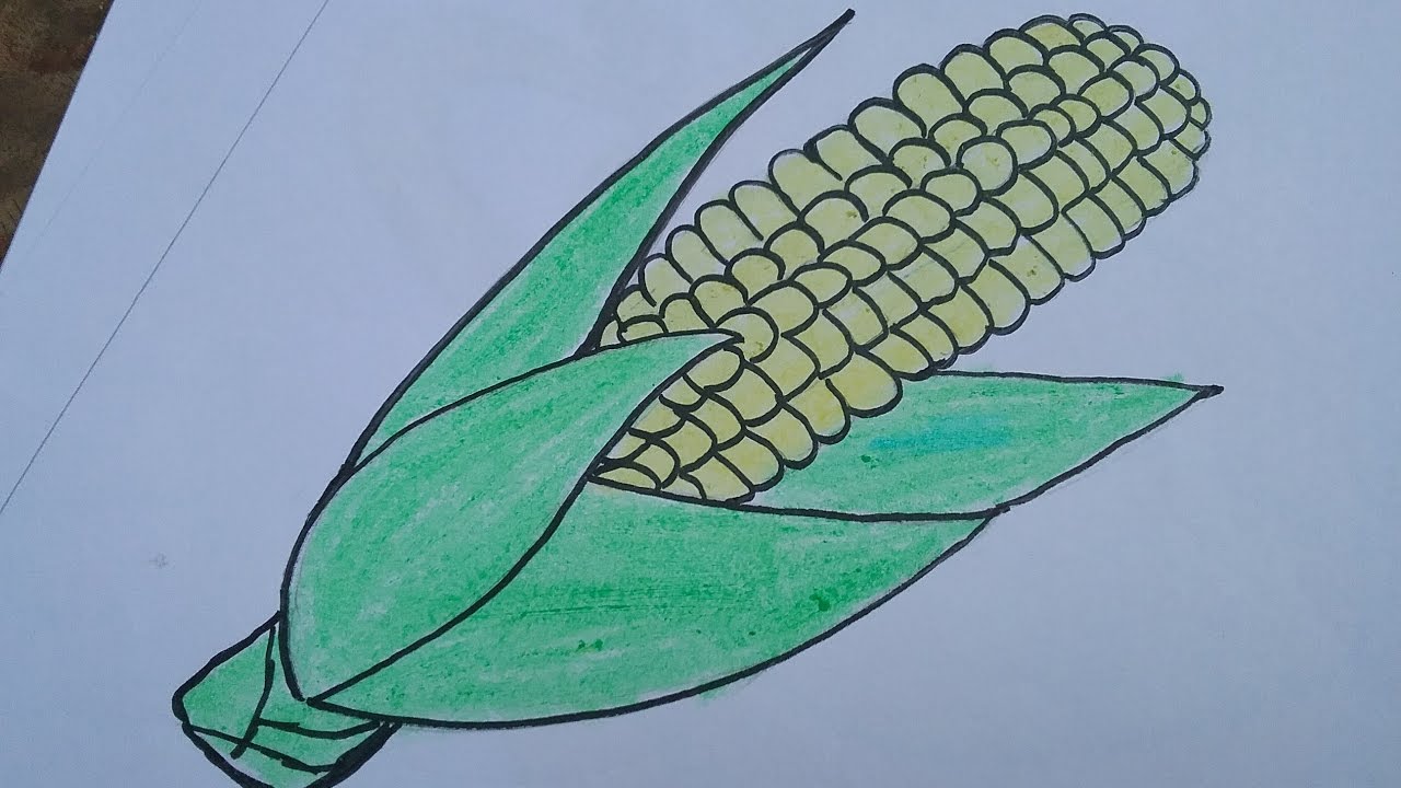 1280x720 How To Draw A Corn With Basic Shapes,drawing And Colouring