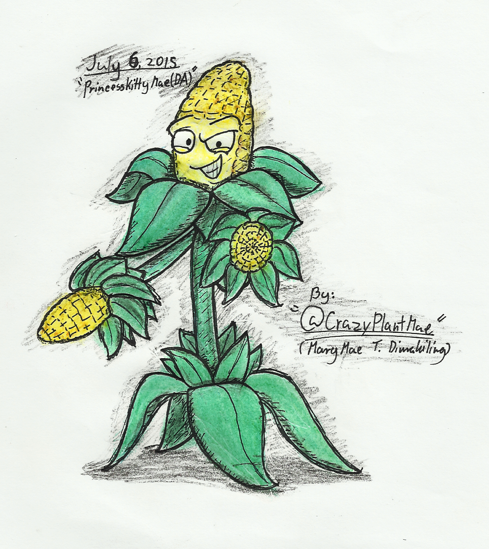 1005x1128 Kernel Corn