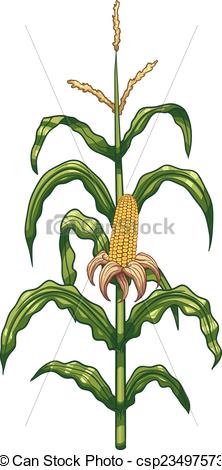 222x470 Cartoon Corn Plant. Vector Clip Art Illustration With Simple