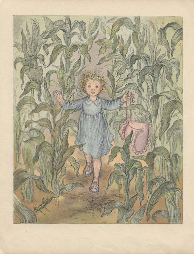 663x870 64 Best Corn Images On Country Life, Res Life And Veggies