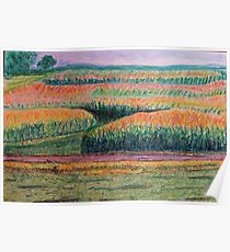 210x230 Corn Field Drawing Posters Redbubble