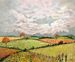 300x251 Corn Field Drawings Fine Art America