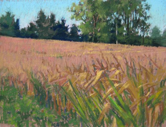 550x420 Pastel Painting Of Golden Autumn Cornfield In The Midwest By Jill