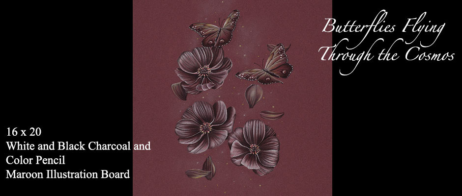 940x400 Butterflies And Chocolate Cosmos Flowers Pencil Drawing On Behance