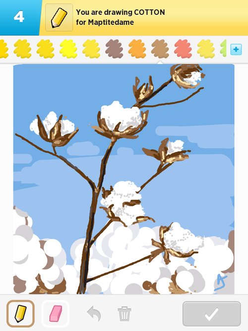 500x667 Cotton Drawings