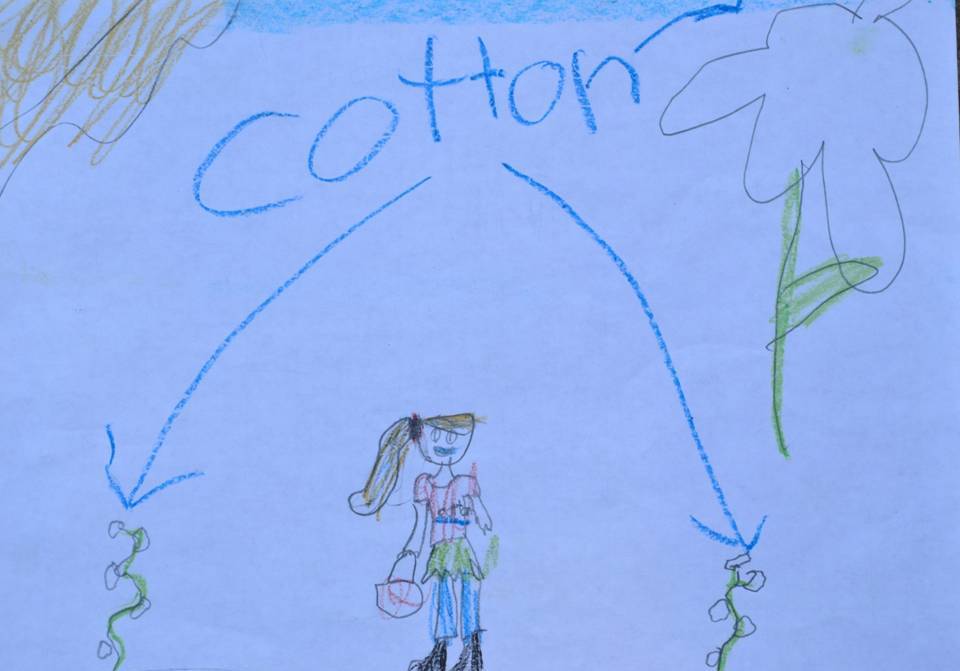 960x671 Child's Drawing Of Cotton Plants Jp Loves Cotton Amp More