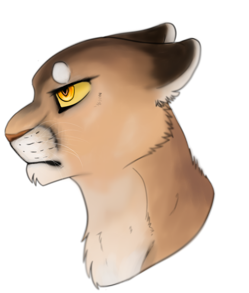 825x968 Cougar Drawing Ig By Skeletalkitten