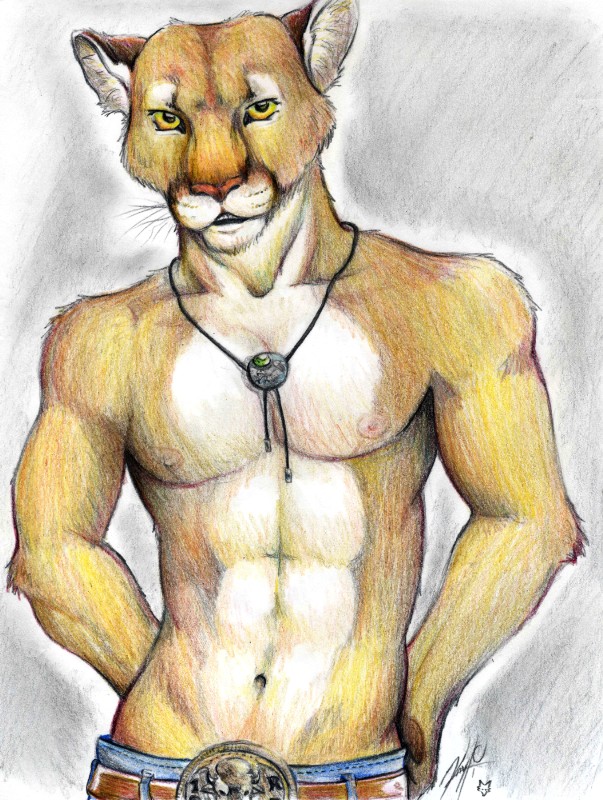 603x800 Cowboy Cougar By Skitzobits