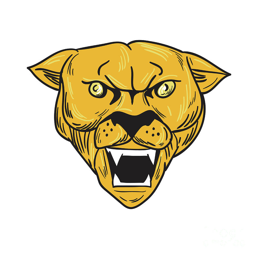 900x900 Angry Cougar Mountain Lion Head Drawing Digital Art By Aloysius