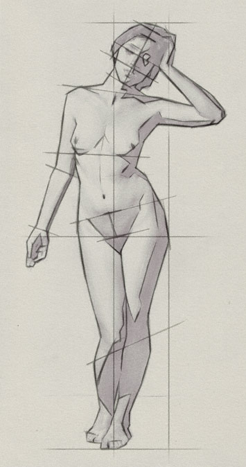 355x674 Drawing The Proportions Of The Human Body