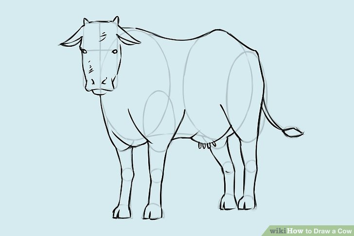 728x485 4 Ways To Draw A Cow