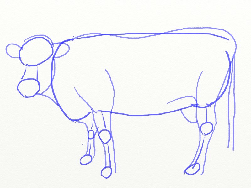 800x600 How To Draw A Cow