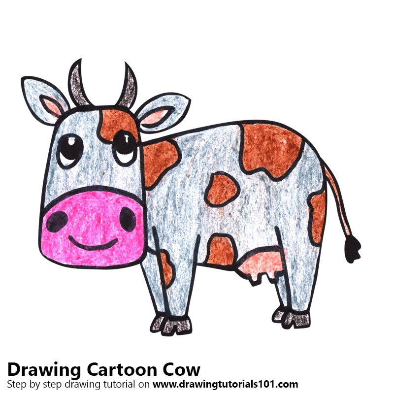 800x800 Learn How To Draw A Cartoon Cow (Cartoon Animals) Step By Step