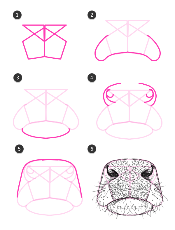 600x788 How To Draw A Cow Nosemouth